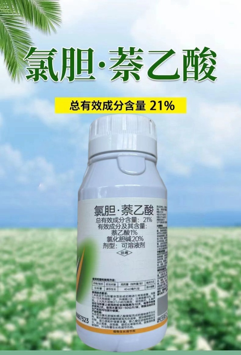 氯胆萘乙酸根茎膨大剂马铃薯葱姜蒜花生洋葱土豆红薯地下块茎