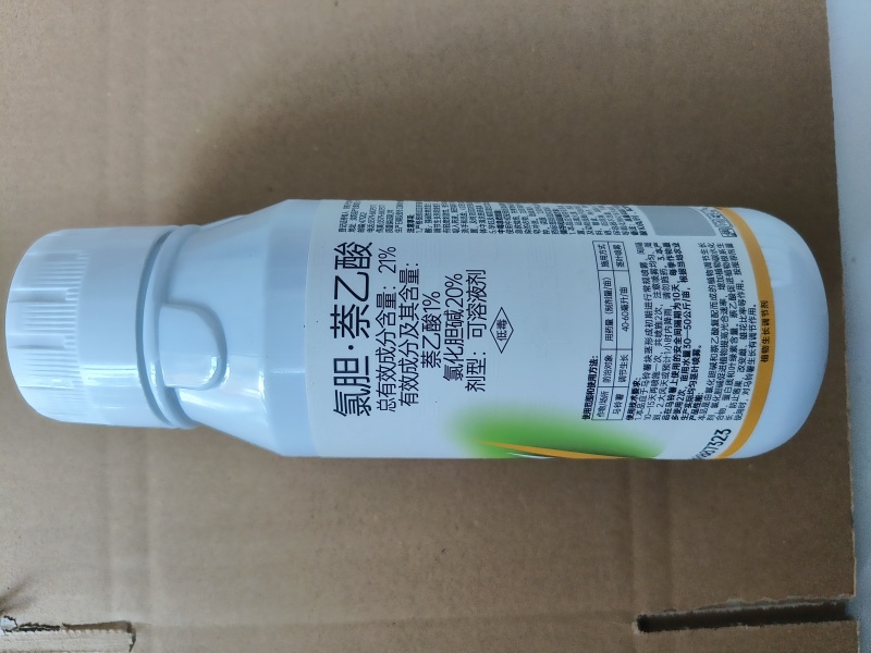 氯胆萘乙酸根茎膨大剂马铃薯葱姜蒜花生洋葱土豆红薯地下块茎