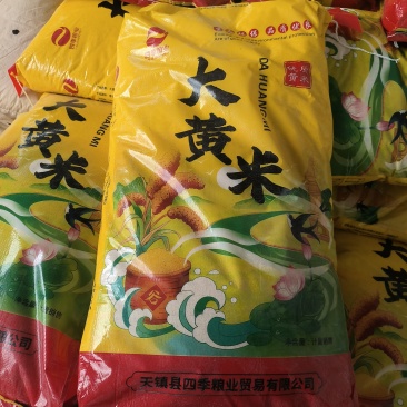 东北大黄米农家新米正宗糯小米黍米粘米饭黄米包粽子软米杂粮