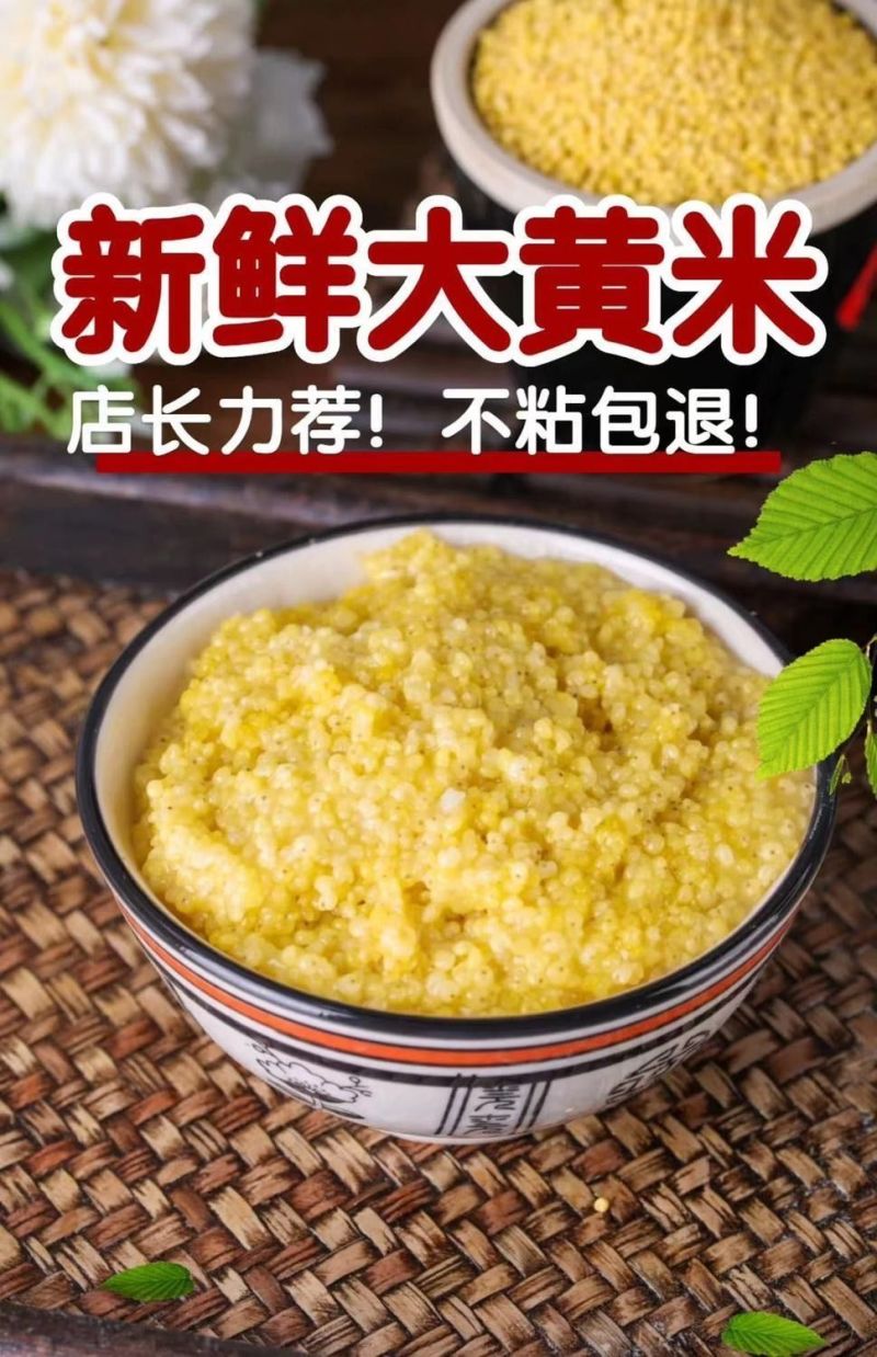 东北大黄米农家新米正宗糯小米黍米粘米饭黄米包粽子软米杂粮