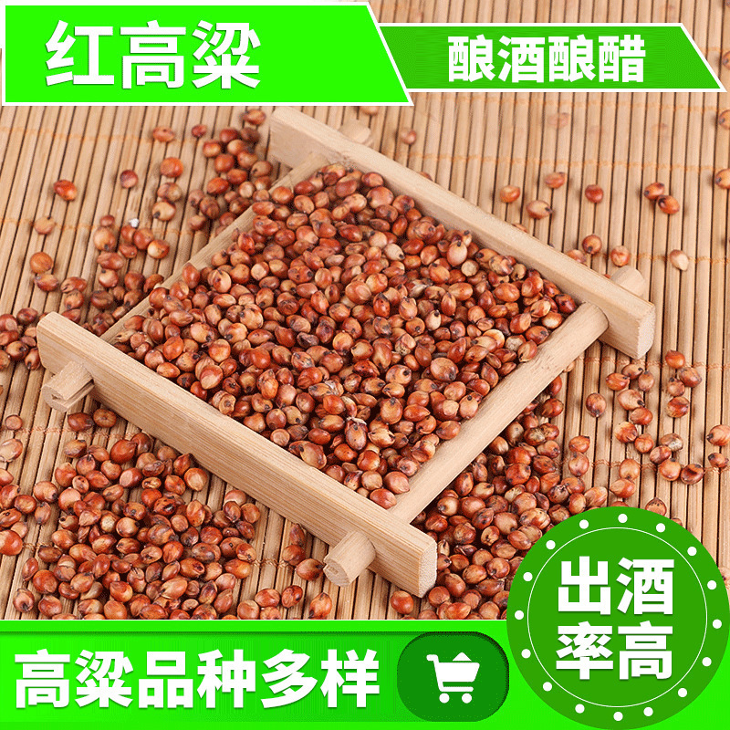 酿酒酿醋红高粱散装带皮高粱米信鸽饲料鸽粮糯高粱东北红高梁