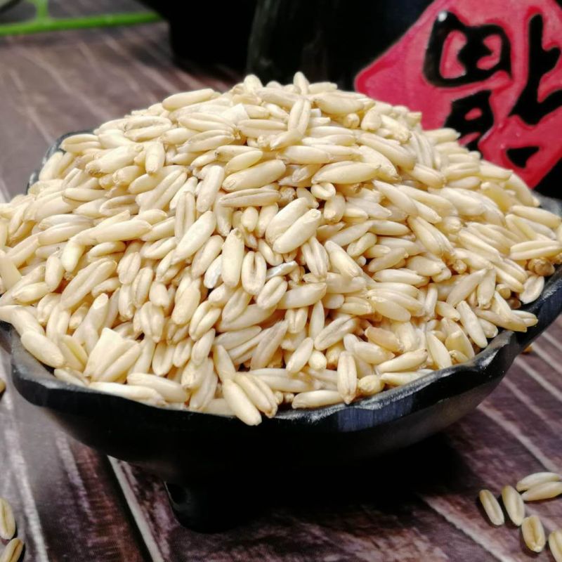 现货供应新燕麦米粗粮燕麦米批发燕麦米