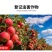 阿维哒螨灵杀虫剂专治抗性红蜘蛛螨虫锈壁虱茶黄螨果树蔬菜花