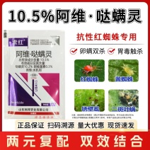 阿维哒螨灵杀虫剂专治抗性红蜘蛛螨虫锈壁虱茶黄螨果树蔬菜花