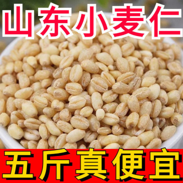 农家去皮小麦仁麦仁米脱皮小麦粒大麦仁杂粮农家包邮食用