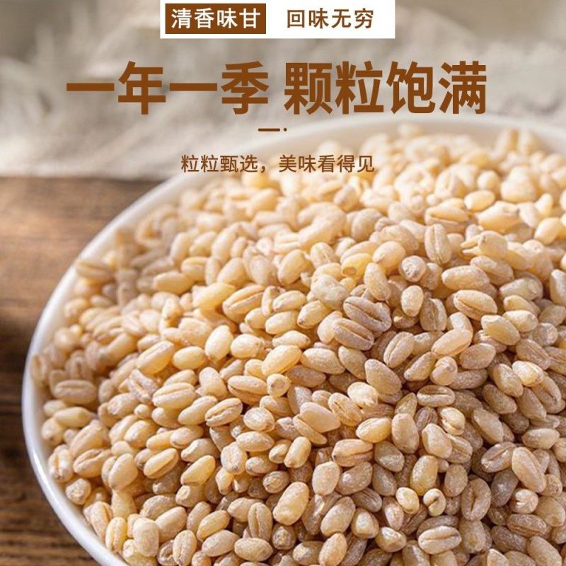 农家去皮小麦仁麦仁米脱皮小麦粒大麦仁杂粮农家包邮食用