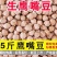 新疆鹰嘴豆新货现货直供正宗生鹰嘴豆农家鸡心豆粉糯易煮颗粒
