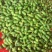 槟榔海南黄流破口槟榔产地一手货源保质保量对接全国