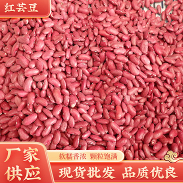 英国红芸豆批发八宝粥原料红腰豆五谷杂粮散装豆沙大红豆高蛋