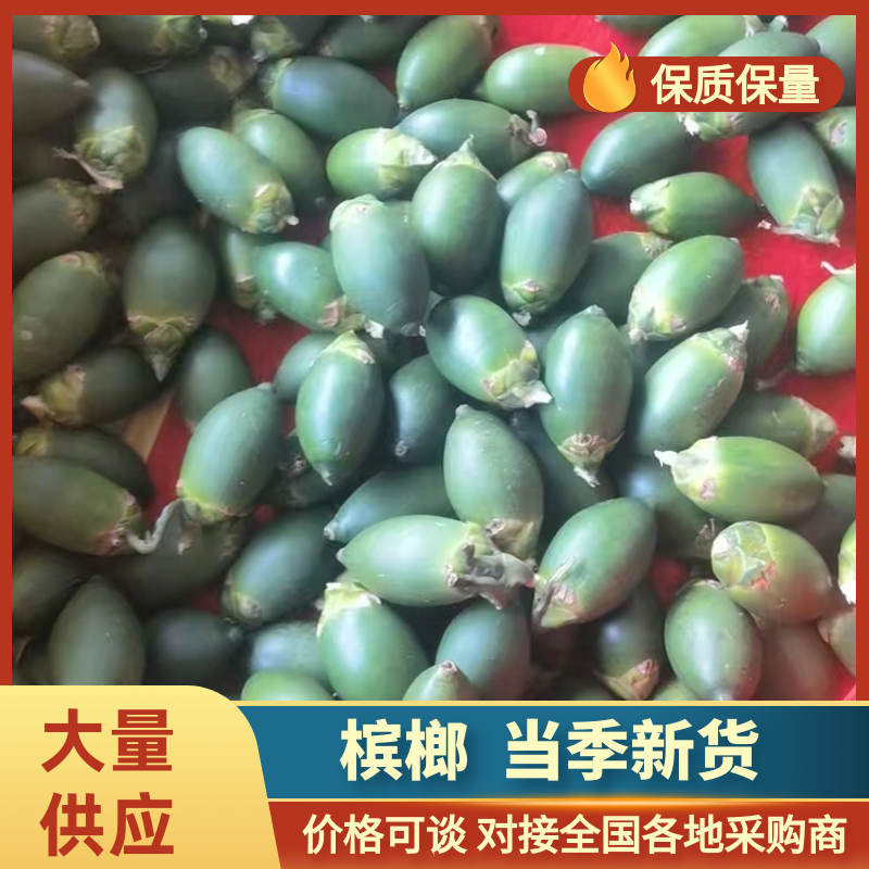 槟榔黄流破口槟榔产地直供保质保量视频看货对接全国