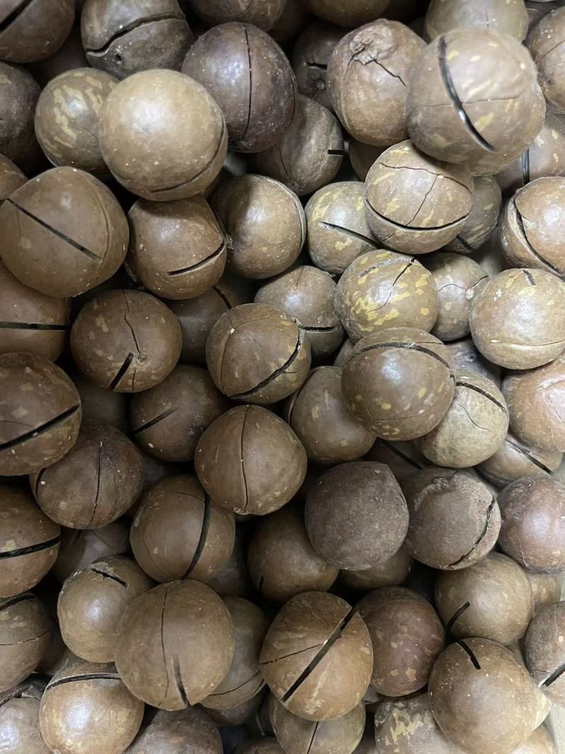 夏威夷果各种规格电商货一件代发
