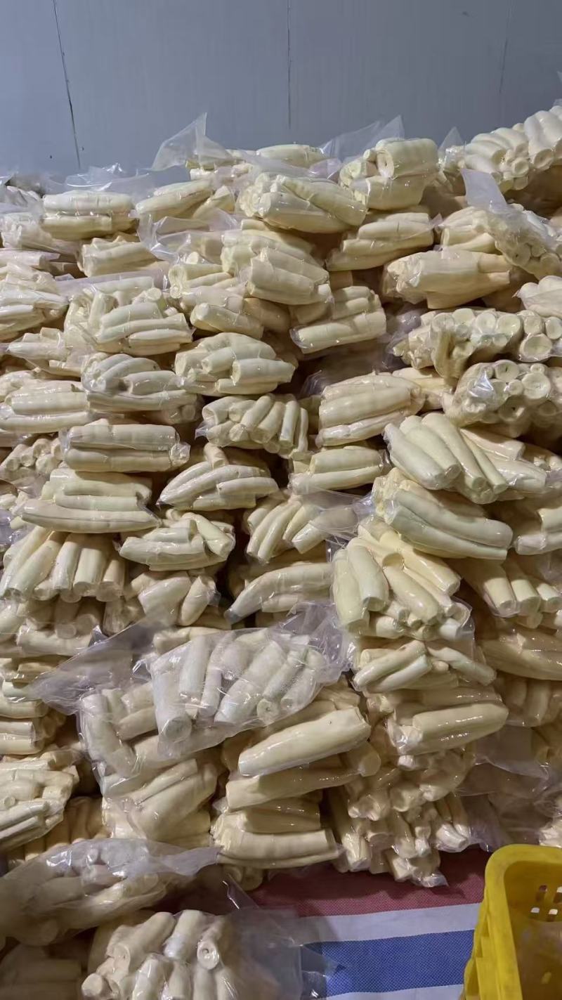 黄心木薯华南9号大量供应，一手货源，量大从优