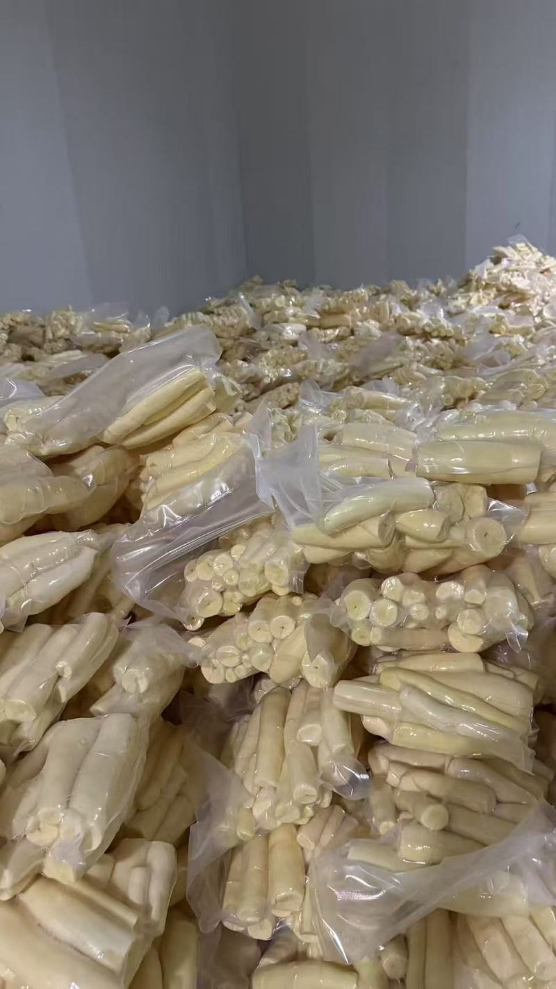 黄心木薯华南9号大量供应，一手货源，量大从优