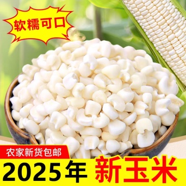 新货粘白糯玉米渣白玉米糁玉米碎粒软糯玉米碎大渣子煮粥五谷