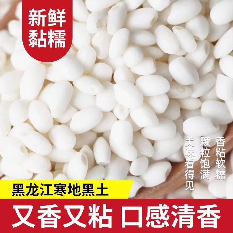 批发东北糯米50斤一袋黑龙江圆粒江米圆糯米白五谷杂粮粮食