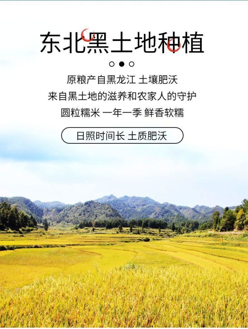 批发东北糯米50斤一袋黑龙江圆粒江米圆糯米白五谷杂粮粮食