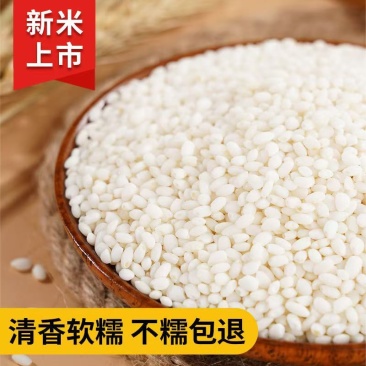 批发东北糯米50斤一袋黑龙江圆粒江米圆糯米白五谷杂粮粮食