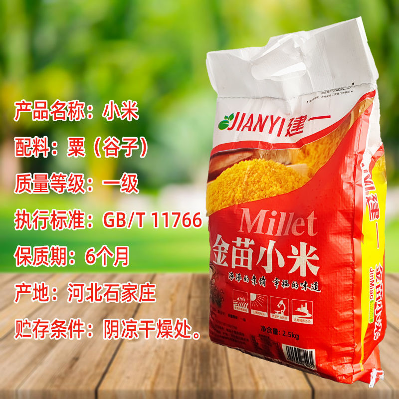 2025年新米内蒙古赤峰小米黄小米金苗小米粥月子吃的杂粮