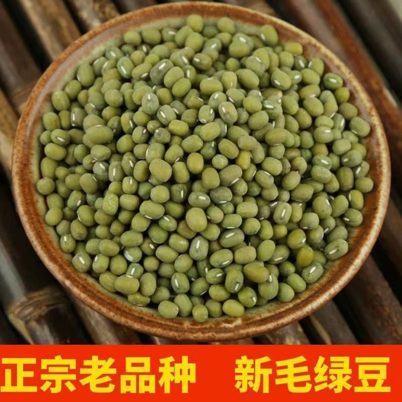 批发东北绿豆毛绿豆新货五谷杂粮大小毛绿豆24.75kg熬
