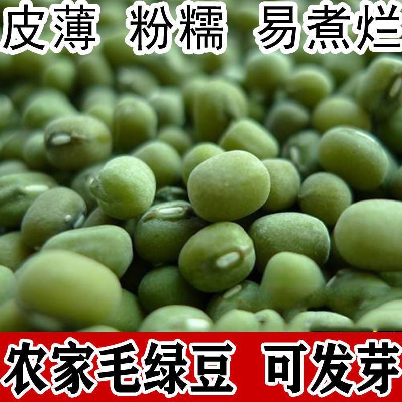 批发东北绿豆毛绿豆新货五谷杂粮大小毛绿豆24.75kg熬