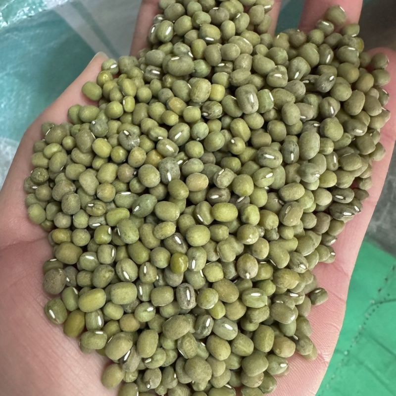 批发东北绿豆毛绿豆新货五谷杂粮大小毛绿豆24.75kg熬