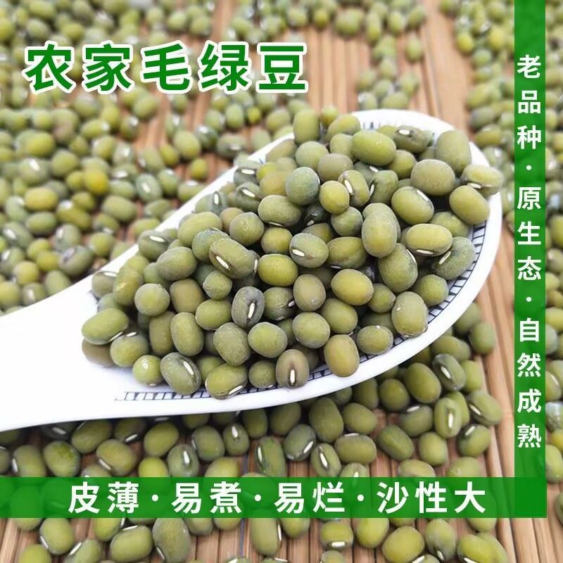 批发东北绿豆毛绿豆新货五谷杂粮大小毛绿豆24.75kg熬