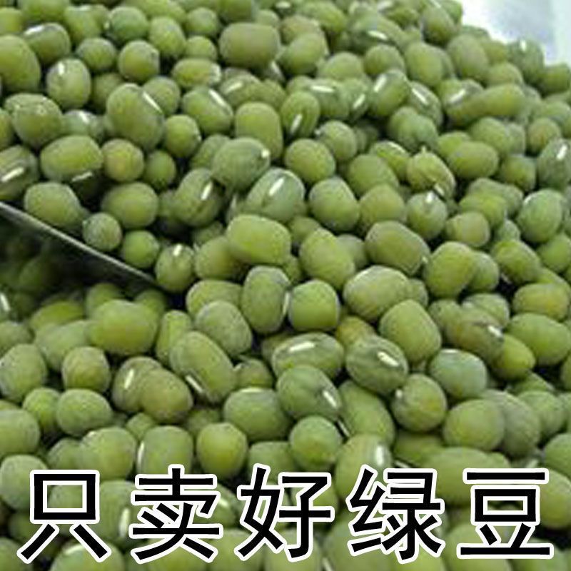 批发东北绿豆毛绿豆新货五谷杂粮大小毛绿豆24.75kg熬