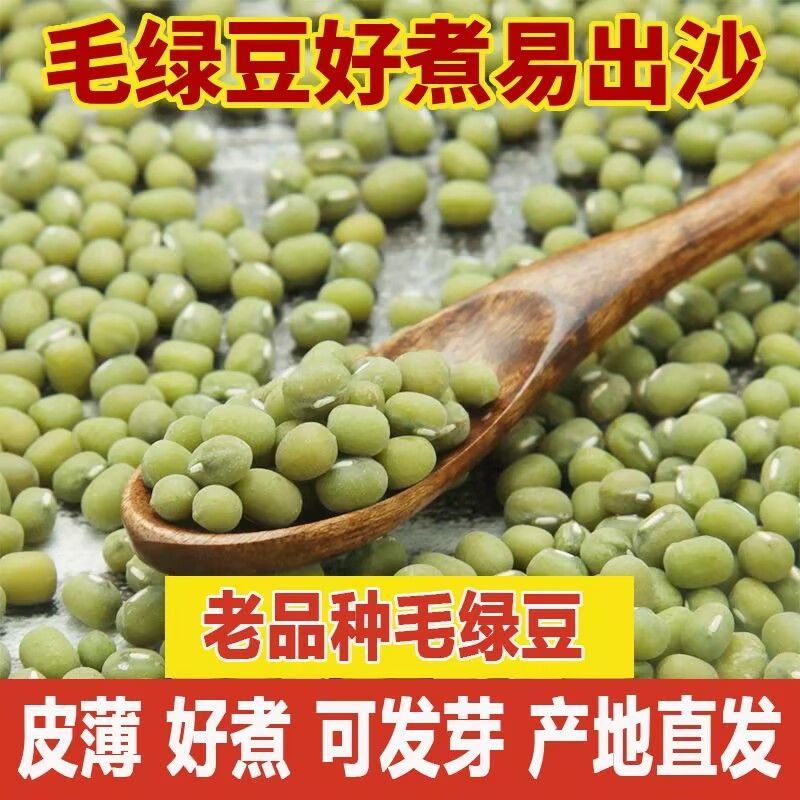 批发东北绿豆毛绿豆新货五谷杂粮大小毛绿豆24.75kg熬