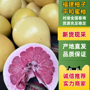 福建蜜柚平和三红柚产地一手货源，规格齐全接电商市场批发商