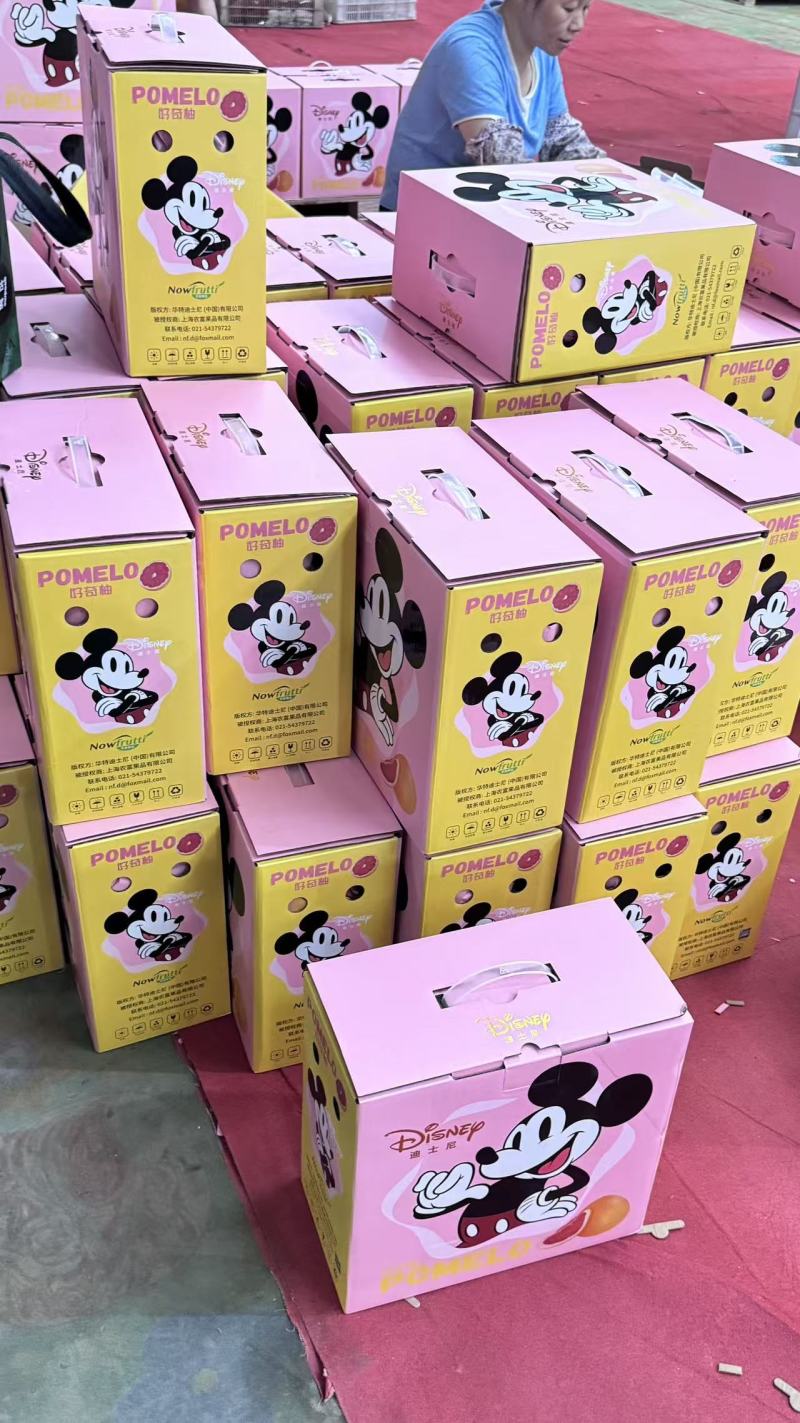 平和蜜柚琯溪蜜柚/红心蜜柚/一手货源/品质保证/实力代办