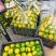 湖北蜜橘大量供应对接市场商超加工品质保证来电详谈