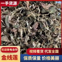 仿野生金线莲，价格优势，质量保证，一斤也是批发价。