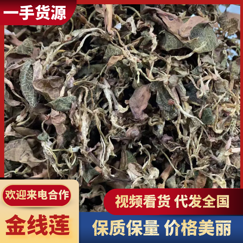 仿野生金线莲，价格优势，质量保证，一斤也是批发价。