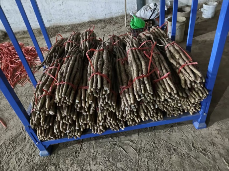 温县正宗垆土地铁棍山药现挖现发品质保证价格实惠