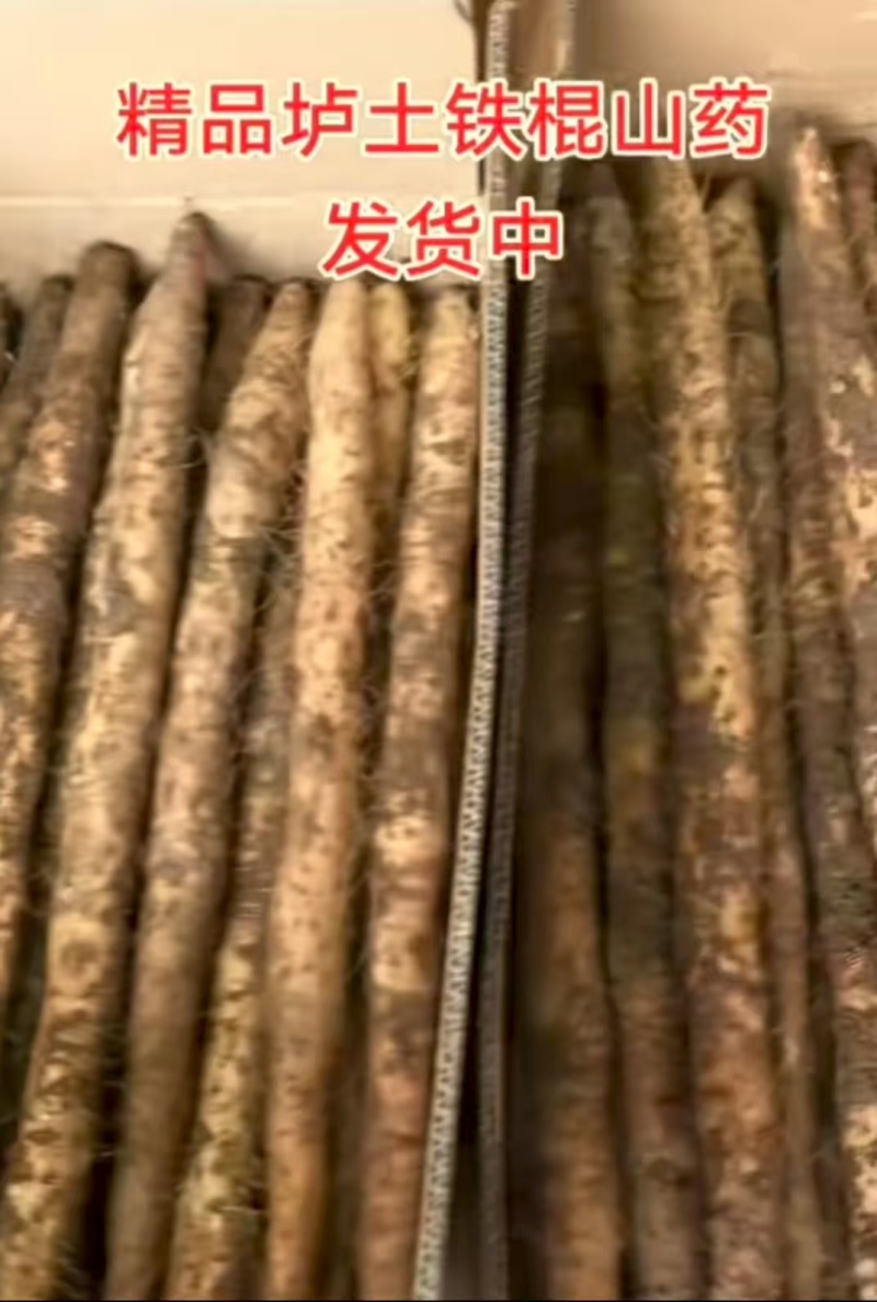 温县正宗垆土地铁棍山药现挖现发品质保证价格实惠