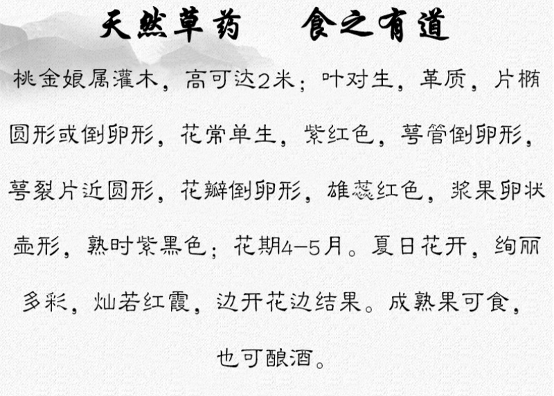 桃金娘根岗菍稔子树山稔子中药材中草药原料
