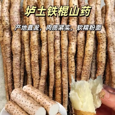 温县正宗垆土地铁棍山药现挖现发品质保证价格实惠