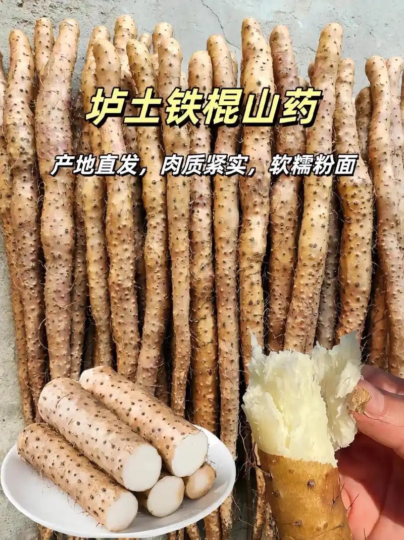 温县正宗垆土地铁棍山药现挖现发品质保证价格实惠