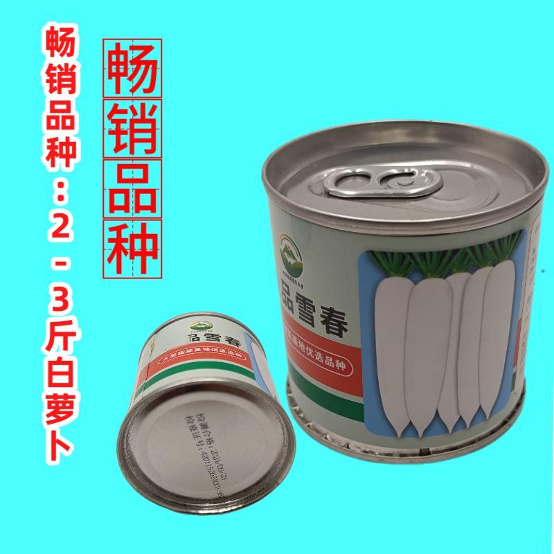 原装原罐雪春萝卜种子春萝卜种籽罐装可吃快速生长白玉天使秋