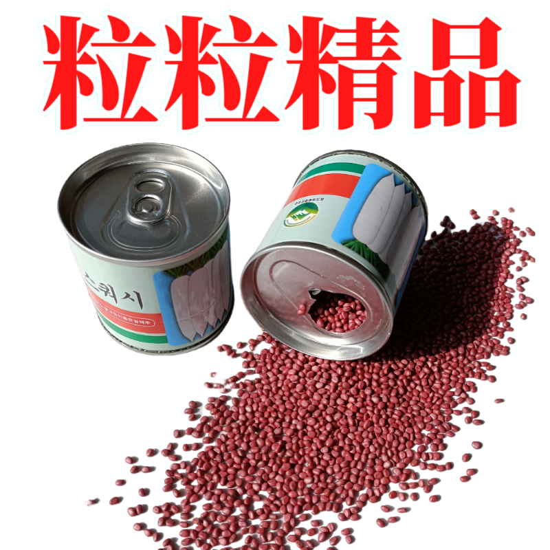 原装原罐雪春萝卜种子春萝卜种籽罐装可吃快速生长白玉天使秋