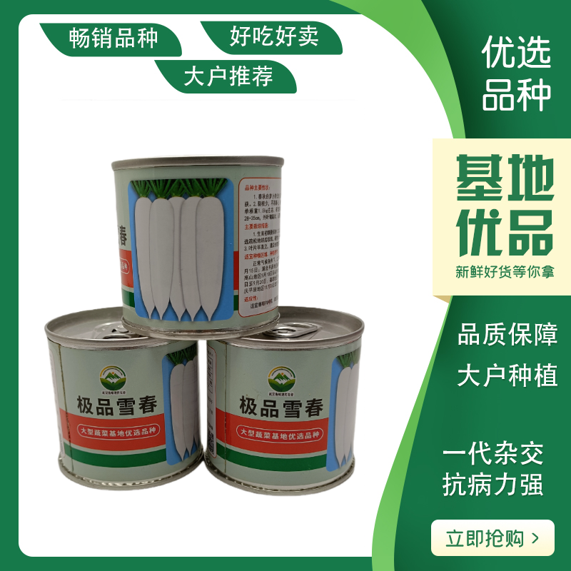 原装原罐雪春萝卜种子春萝卜种籽罐装可吃快速生长白玉天使秋