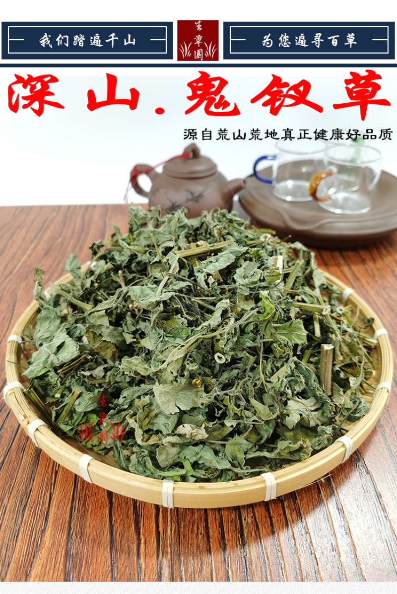 鬼针草中药材中草药原料批发