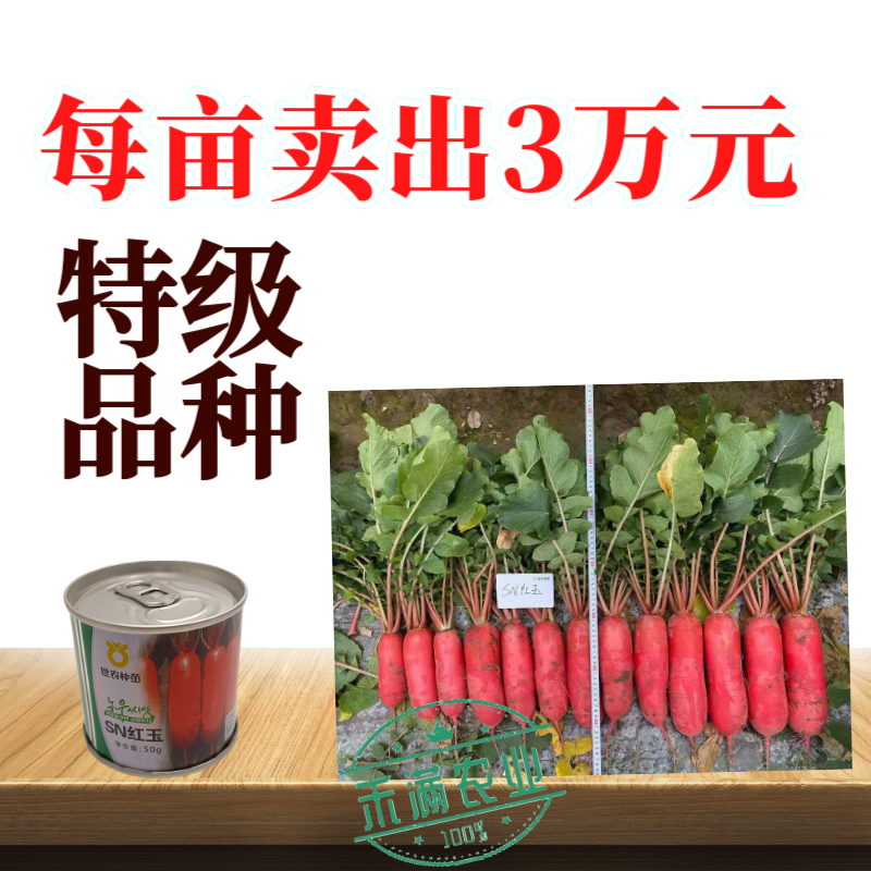世农高端红玉红萝卜种子红皮白肉白心萝卜种子原装秋播耐寒秋