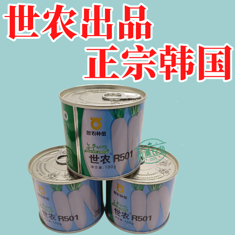 高端萝卜种子大全白萝卜种籽韩国白萝卜品种秋季耐热板叶高产