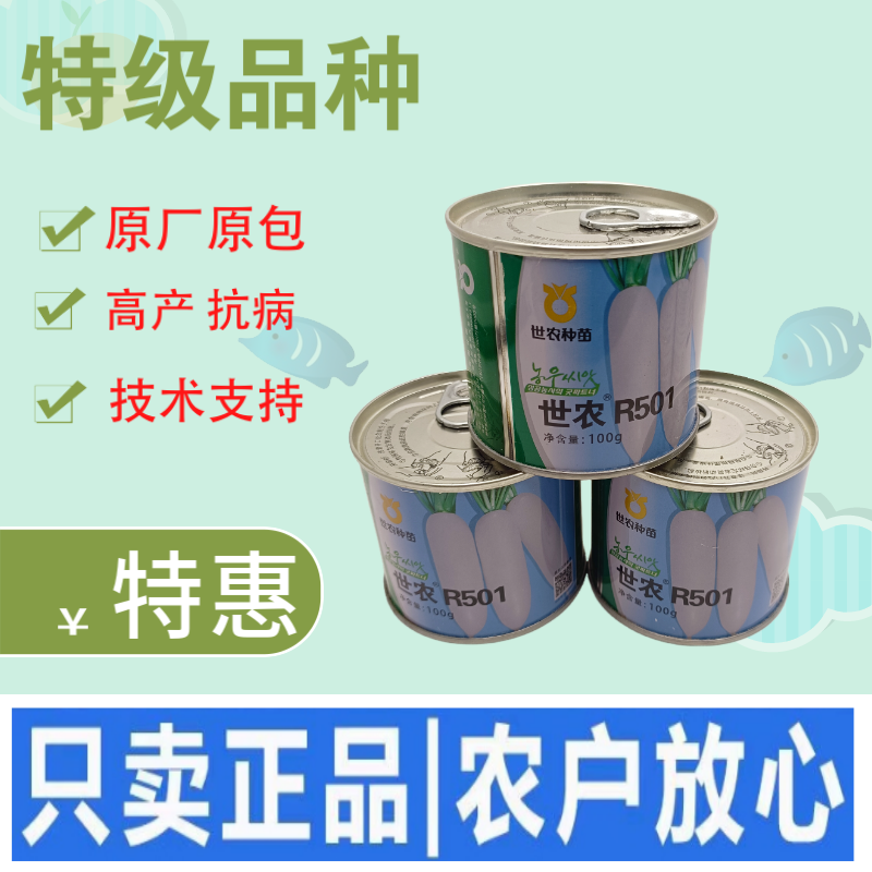 高端萝卜种子大全白萝卜种籽韩国白萝卜品种秋季耐热板叶高产