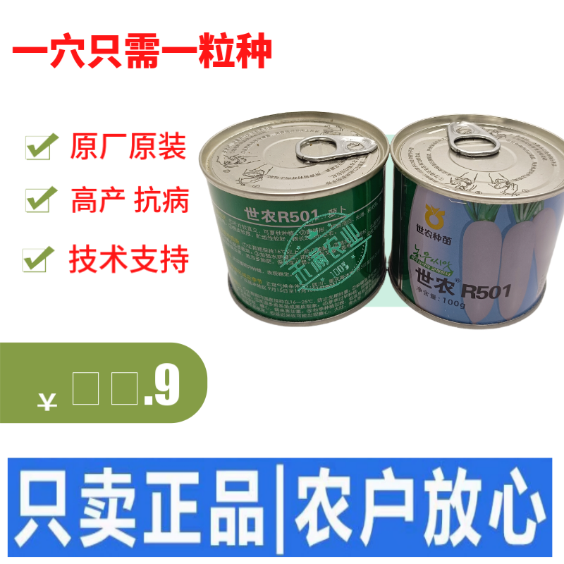 高端萝卜种子大全白萝卜种籽韩国白萝卜品种秋季耐热板叶高产
