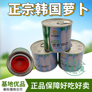 高端萝卜种子大全白萝卜种籽韩国白萝卜品种秋季耐热板叶高产