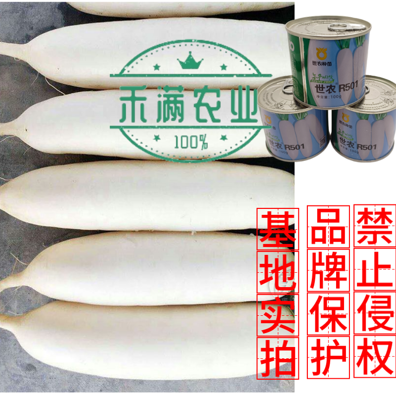高端萝卜种子大全白萝卜种籽韩国白萝卜品种秋季耐热板叶高产