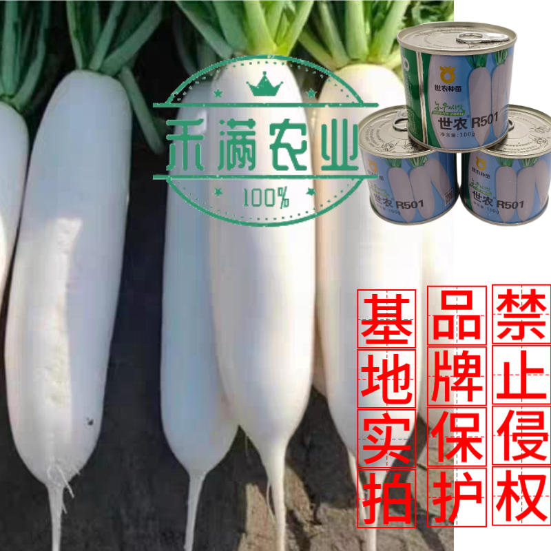 高端萝卜种子大全白萝卜种籽韩国白萝卜品种秋季耐热板叶高产