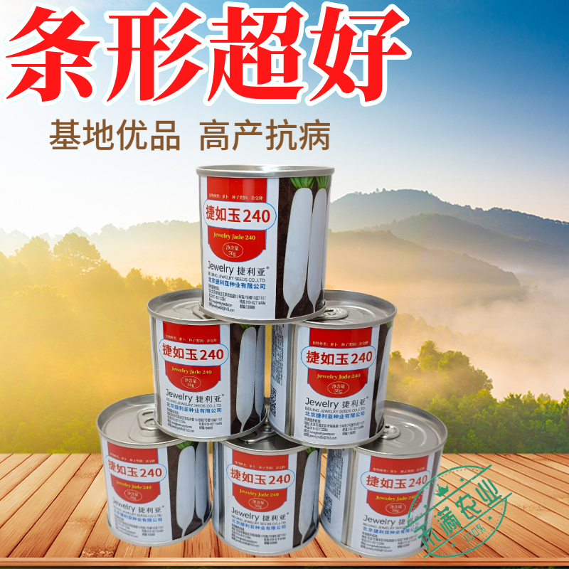 新品种白萝卜种子捷如玉240秋季种植条型好半板叶半花叶